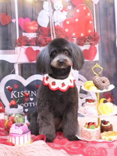 20250204らむちゃん